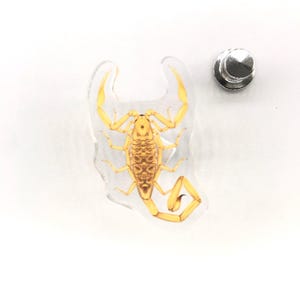 Puede incluir: Un pin de acrílico transparente con un diseño de escorpión amarillo. El escorpión tiene un cuerpo segmentado y una cola curvada. Un pasador plateado está adjunto. Un accesorio único.