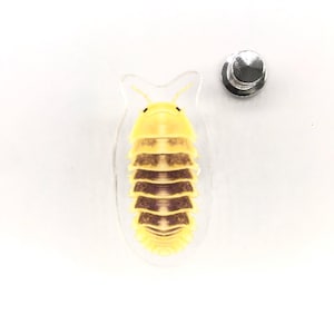 Broche de acrílico do isópode Júpiter, Cubaris sp. Júpiter, broche de acrílico transparente de 3,8 cm (1,5 polegadas), broche de isópode à prova d'água.