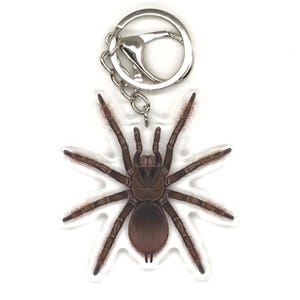 Może przedstawiać: Brelok z szczegółową ilustracją pająka tarantuli. Pająk jest brązowy z długimi, owłosionymi nogami i ciemnym ciałem. Brelok ma srebrny metalowy pierścień i łańcuszek.