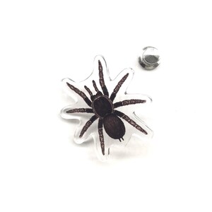 Pode incluir: Um alfinete de acrílico transparente com uma ilustração detalhada de uma aranha tarântula. A aranha é marrom escuro com oito pernas e está sobre um fundo em forma de estrela. Uma parte traseira prateada é visível.