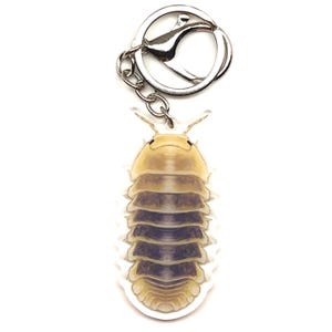 Puede incluir: Un llavero con una ilustración detallada de una cochinilla. La cochinilla está representada en tonos beige, marrón y morado, con un borde blanco. El llavero tiene un cierre y una cadena de metal plateado.