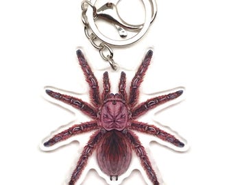 ローズヘアタランチュラキーホルダー、Grammostola Roseaアクリルチャーム、虫好きへのギフト