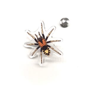 Pode incluir: Um alfinete de acrílico transparente com uma ilustração detalhada de uma aranha. A aranha tem um corpo preto com uma cabeça laranja e marcas amarelas. Um pino de prata está incluído.
