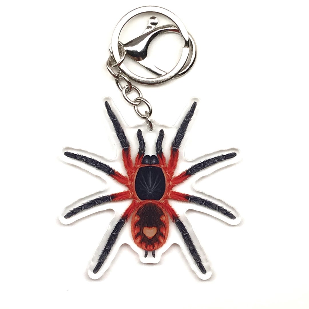 Lava Tarantula Keychain, Davus Sp. Panama Acrylic Charm, Bug Lover Gift ...