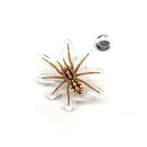 Puede incluir: Un pin transparente en forma de araña con una ilustración detallada de una araña en tonos marrones, negros y amarillos. El pin tiene un respaldo plateado para la fijación.