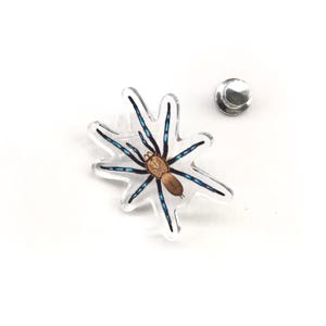 Op de afbeelding: Een heldere acrylspeld met een gedetailleerde illustratie van een spin met een bruin lichaam en blauwzwarte poten. De speld heeft een zilveren achterkant.