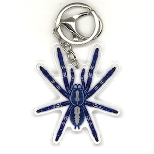 Brelok z ozdobnym szafirowym tarantulą, akrylowy dodatek Poecilotheria Metallica, prezent dla miłośnika owadów
