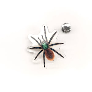 Puede incluir: Un pin transparente en forma de estrella con un diseño de tarántula colorido. La araña tiene una cabeza verde, abdomen marrón y patas negras y azules. Se incluye un pasador plateado.