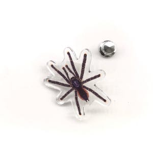Pode incluir: Um alfinete transparente em forma de aranha com uma ilustração detalhada de uma tarântula. A aranha tem um corpo roxo escuro e pernas marrons. Um pino de prata está incluído.