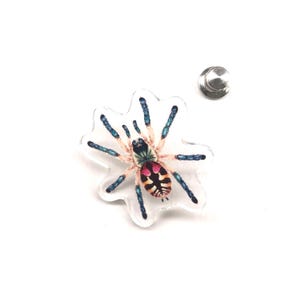 Broche de acrílico transparente de tarântula joia brasileira (Typhochlaena seladonia) de 3,8 cm (1,5 polegadas), à prova d'água.