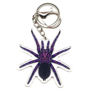 Puede incluir: Un llavero acrílico transparente con un diseño de tarántula morada y negra. La araña tiene ocho patas y un cuerpo detallado. El llavero incluye un llavero y una cadena de metal plateado.