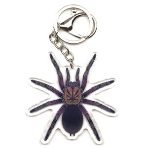 May include: A keychain featuring a detailed illustration of a tarantula. The spider has a dark purple body and legs, with a brown cephalothorax. The keychain has a silver-colored metal ring and chain for attaching to keys or bags.