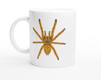 Orange Baboon Tarantula Mug: Pterinochilus Murinus Nature Inspired Ceramic Coffee Cup