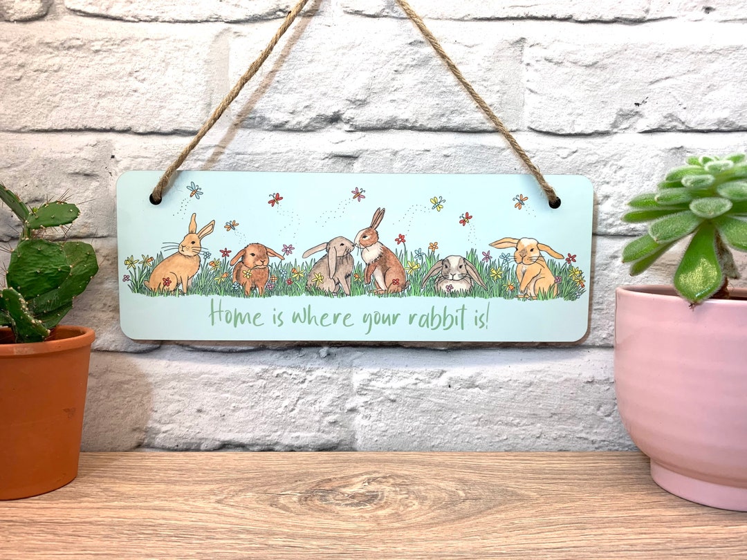 Rabbit Owner Gift Gift for Bunny Owner Gift for Rabbit Etsy