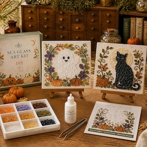 May include: A Sea Glass Art Kit DIY set featuring a box, two square canvases with ghost and black cat designs, a nine-compartment tray of coloured sea glass, a bottle of craft adhesive, metal tweezers, and a step-by-step guide booklet.