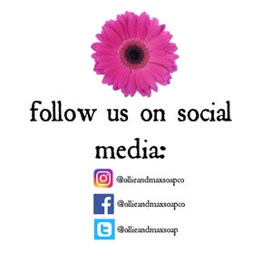 May include: A bright pink gerbera daisy sits above the words "follow us on social media:" below the text are the Instagram, Facebook, and Twitter logos with the corresponding usernames.