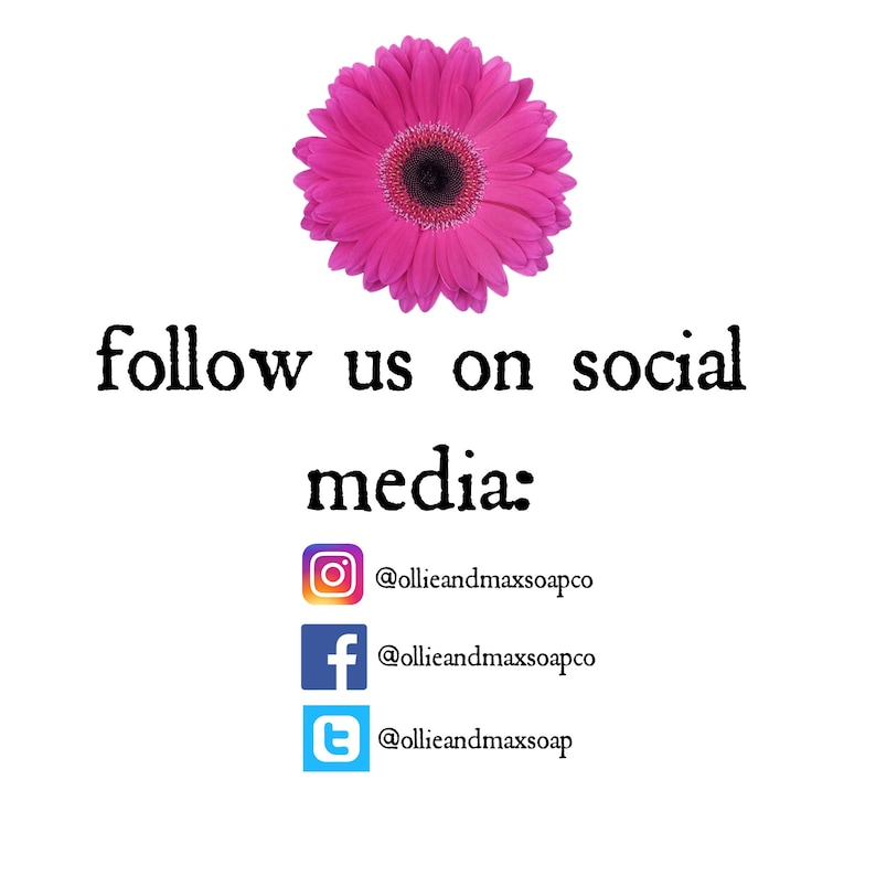 May include: A bright pink gerbera daisy sits above the words "follow us on social media:" below the text are the Instagram, Facebook, and Twitter logos with the corresponding usernames.
