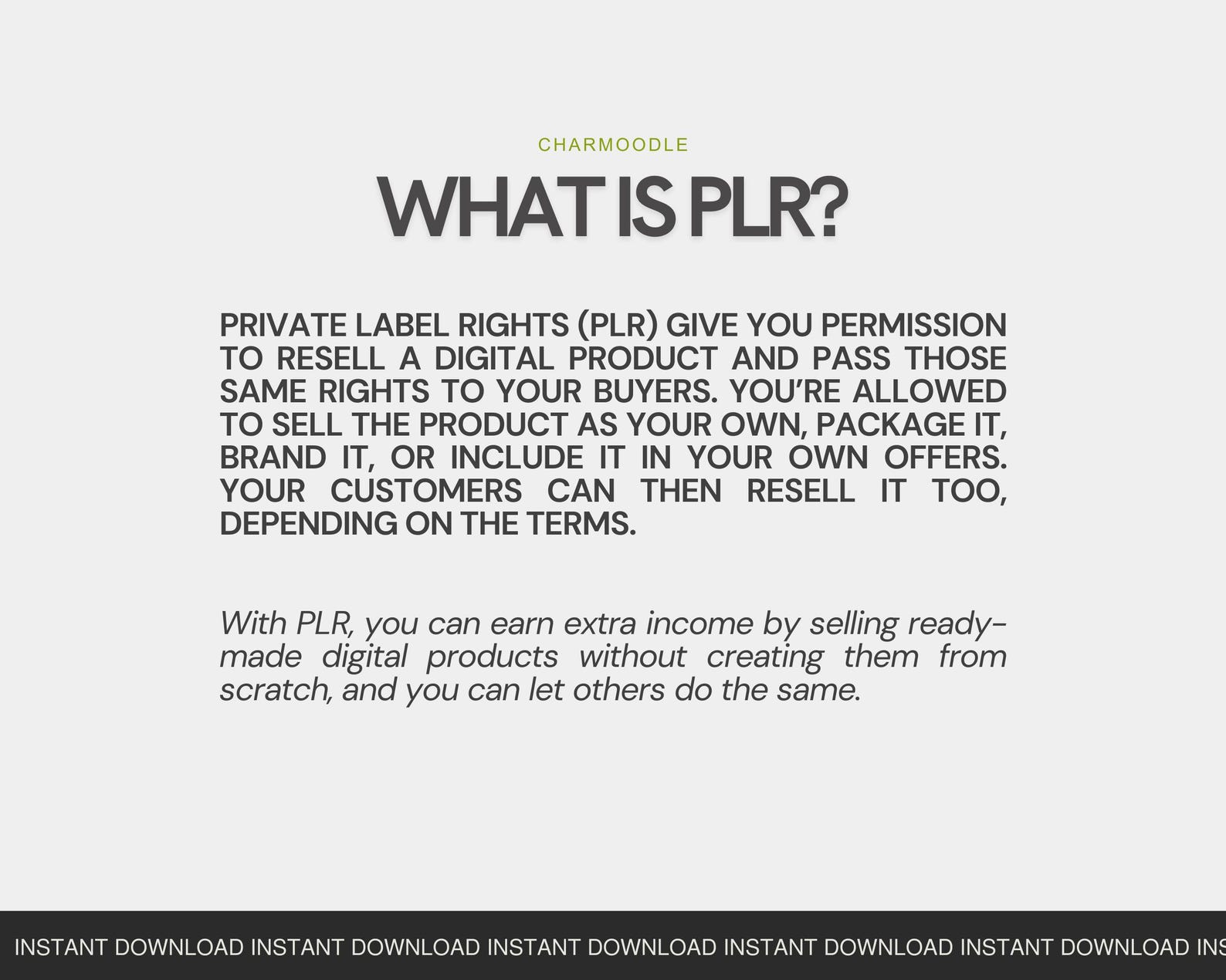 Digital Marketing Course Bundle With PLR & MRR | 12 Mini Canva ...