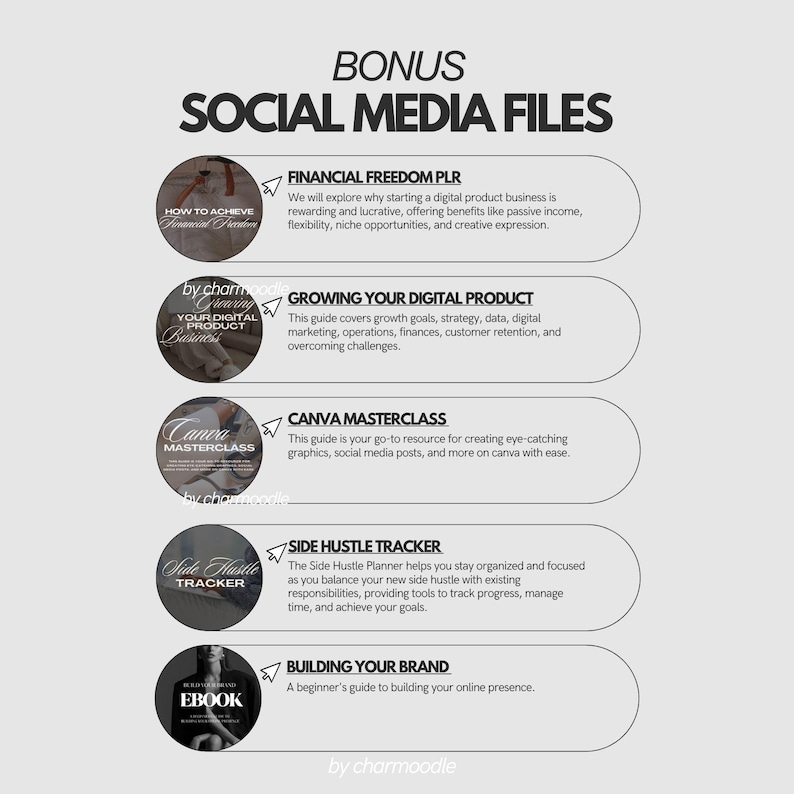 Puede incluir: Un gr&aacute;fico digital con el t&iacute;tulo "BONUS SOCIAL MEDIA FILES" y varias im&aacute;genes circulares. Las im&aacute;genes contienen texto como "FINANCIAL FREEDOM PLR", "GROWING YOUR DIGITAL PRODUCT" y "CANVA MASTERCLASS".