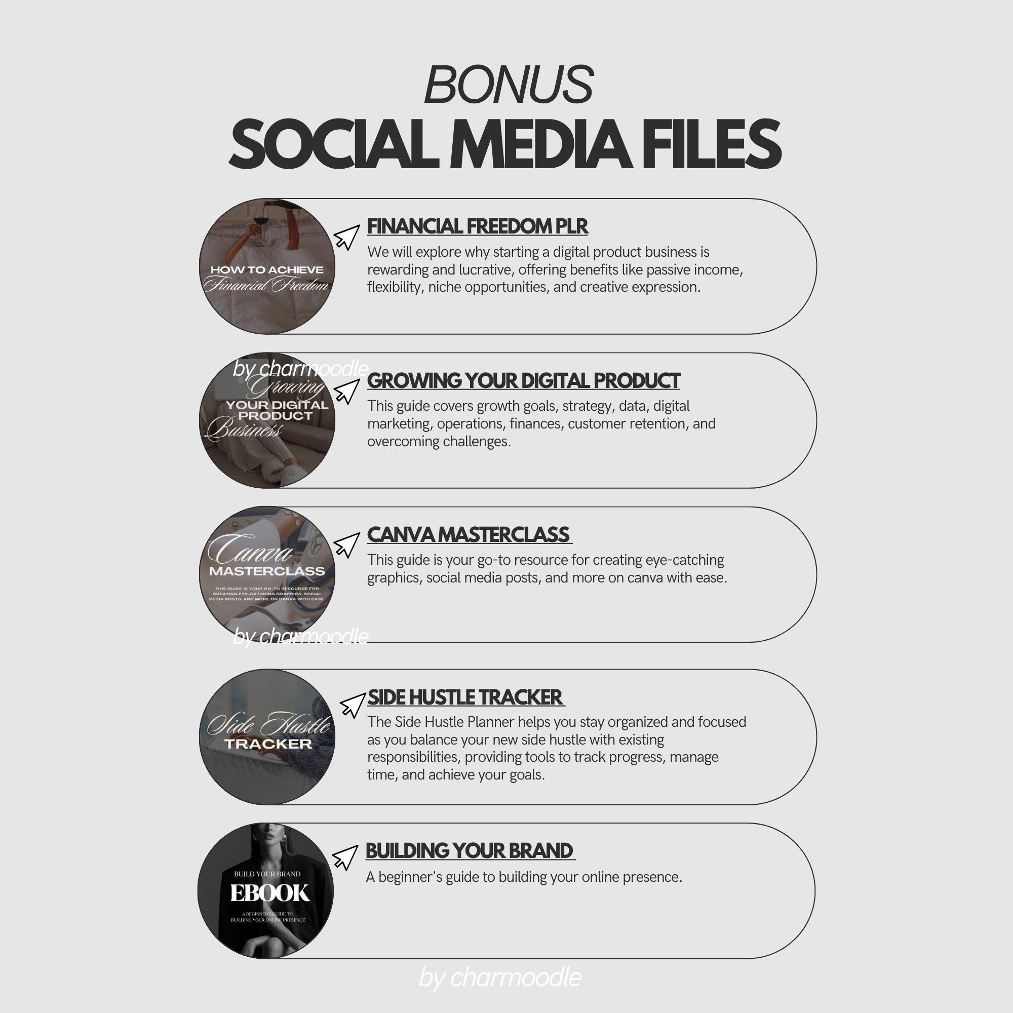 85 Million Digital Products Bundle | Master Resell Rights MRR & Private ...
