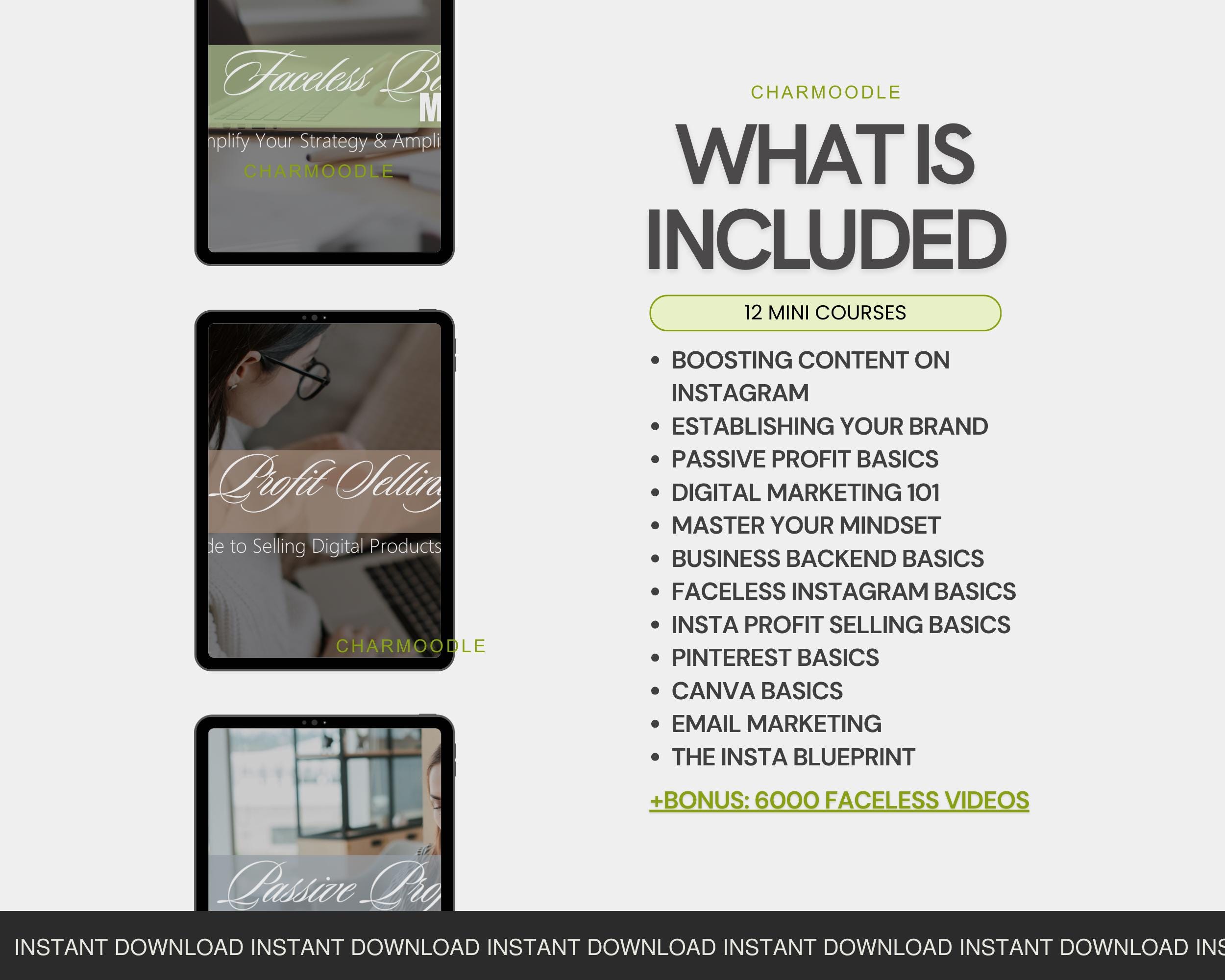 Digital Marketing Course Bundle With PLR & MRR | 12 Mini Canva ...