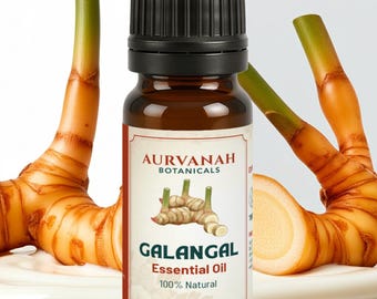 Ätherisches Galgantöl | Reines und natürliches therapeutisches Öl für die Aromatherapie, Diffuser & DIY