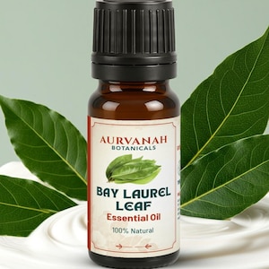 Olio essenziale di alloro / Olio di foglie di alloro per aromaterapia, diffusore, massaggio e produzione di candele / Olio di alloro naturale puro al 100% (Laurus Nobilis)