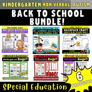 Kindergarten & Pre-K Back to School Bundle: Autism Visual Activities (Digital Download)