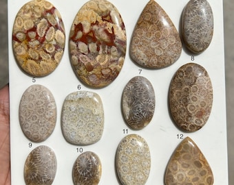 Fossil Coral Cabochon • Natural Gemstone for Jewelry Making