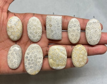 Fossil Coral Cabochon • Natural Gemstone for Jewelry Making