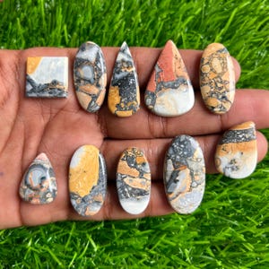 May include: A collection of polished gemstones in various shapes, including oval, teardrop, and rectangular. The stones feature a mix of colors, such as orange, gray, black, and white, with unique patterns and textures. The gemstones are displayed against a backdrop of green grass.