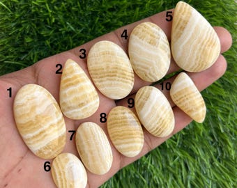 Puede incluir: Diez piedras preciosas pulidas, de forma ovalada y de lágrima, con un patrón de bandas amarillo crema y marrón. Las piedras se muestran en una mano sobre hierba verde. Las piedras preciosas son adecuadas para la fabricación de joyas y varían en tamaño y forma.