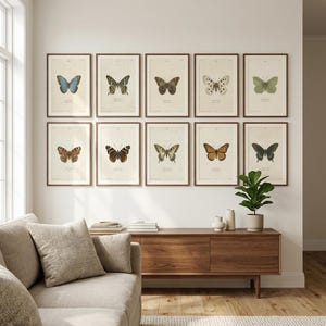 Op de afbeelding: Een galerijwand met tien ingelijste prints met gedetailleerde wetenschappelijke illustraties van verschillende vlindersoorten, elk in een dunne bruine houten lijst aan een gebroken witte muur boven een houten dressoir.