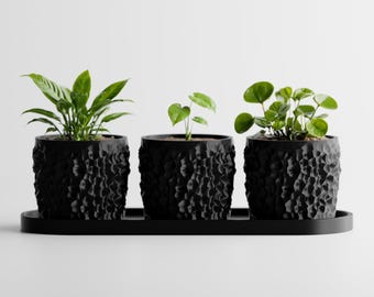 Juego de macetas con platillo y drenaje – Macetas de PLA impresas en 3D para plantas de interior (juego de 3)