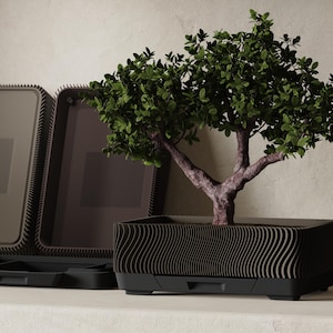 May include: A bonsai tree with green foliage and a brown trunk sits in a black rectangular planter with a wavy pattern. The planter has a drawer at the base. A matching open container is in the background.