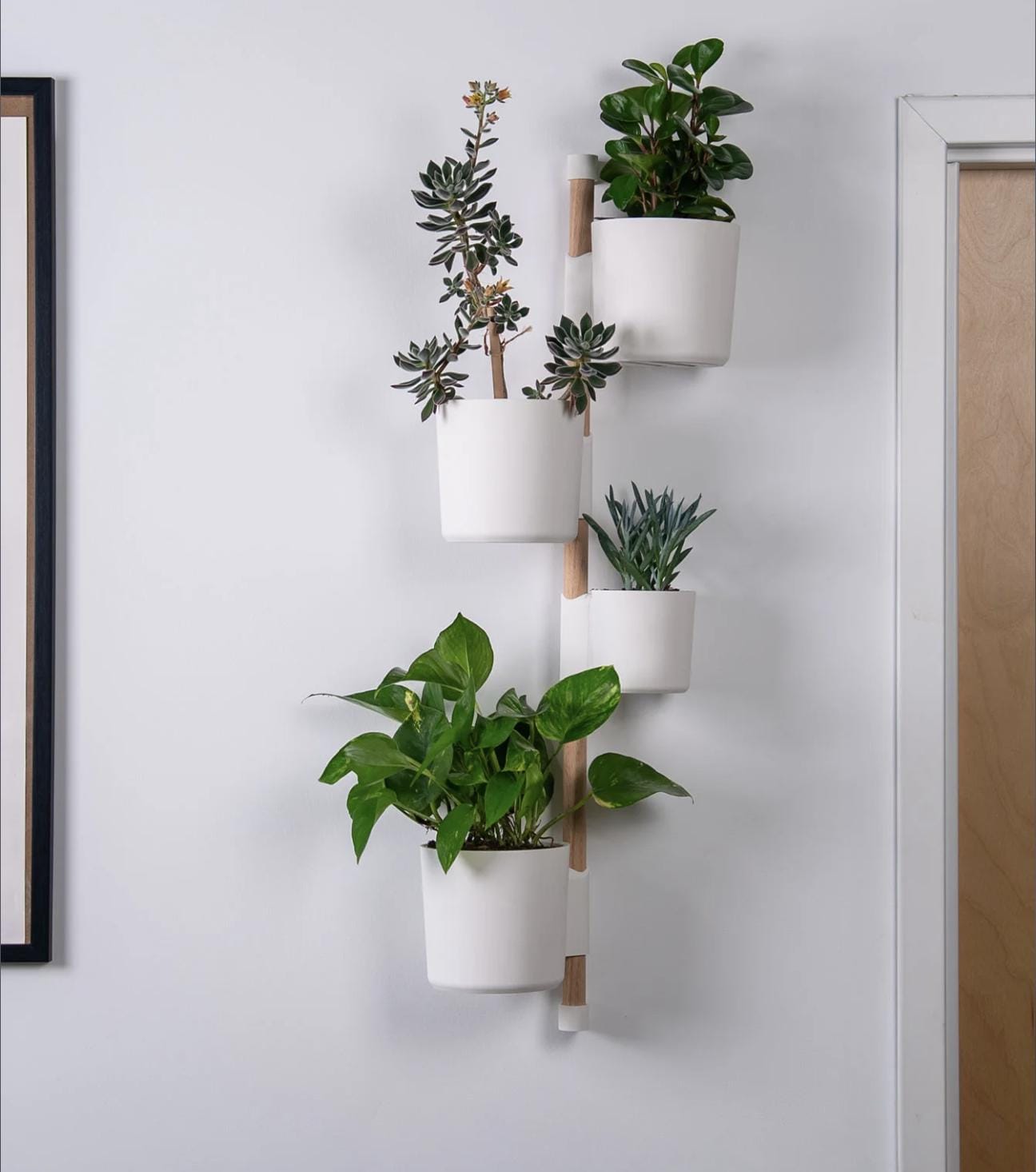 The Rail V2 - Wall Mounted Planter - Modern Vertical Herb & Plant Holder  (pine Dowel/rail Included) - Etsy