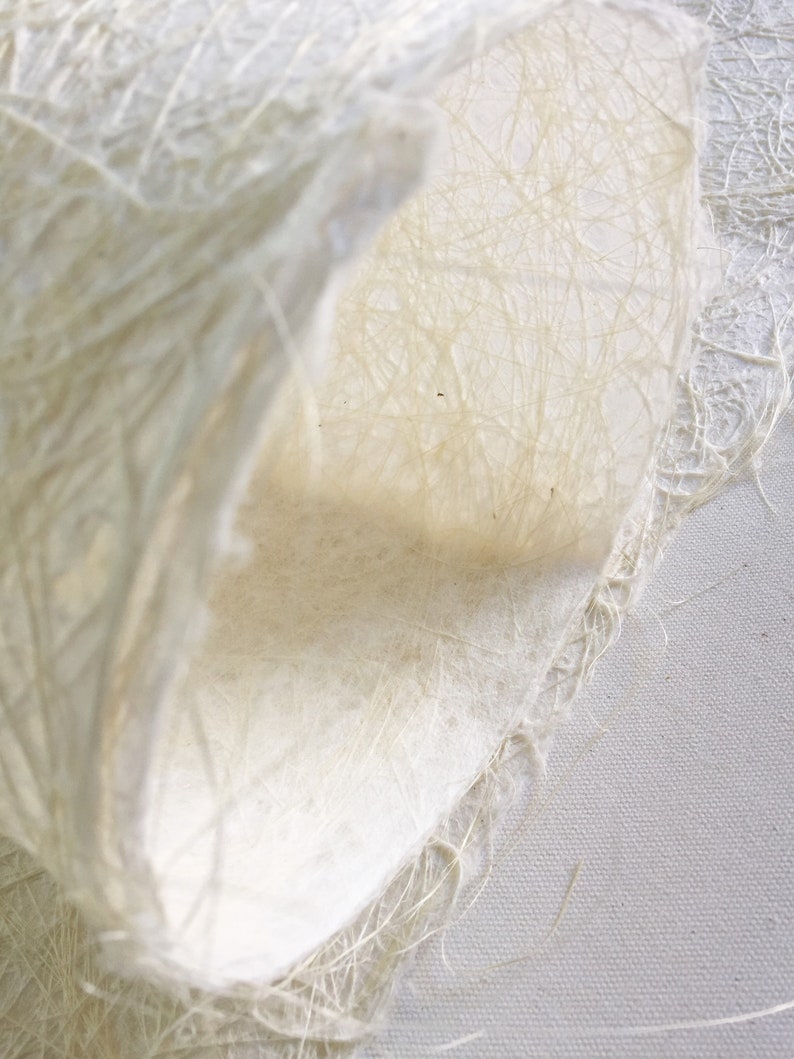 Op de afbeelding: Een close-up van een wit, getextureerd, papierachtig materiaal. Het materiaal is opgerold en de randen zijn rafelig.