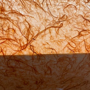 May include: A sheet of translucent, light-colored paper embedded with numerous thin, tangled, rust-colored organic fibers. The material has a textured, fibrous appearance with a horizontal line dividing the upper and lower sections of the sheet.