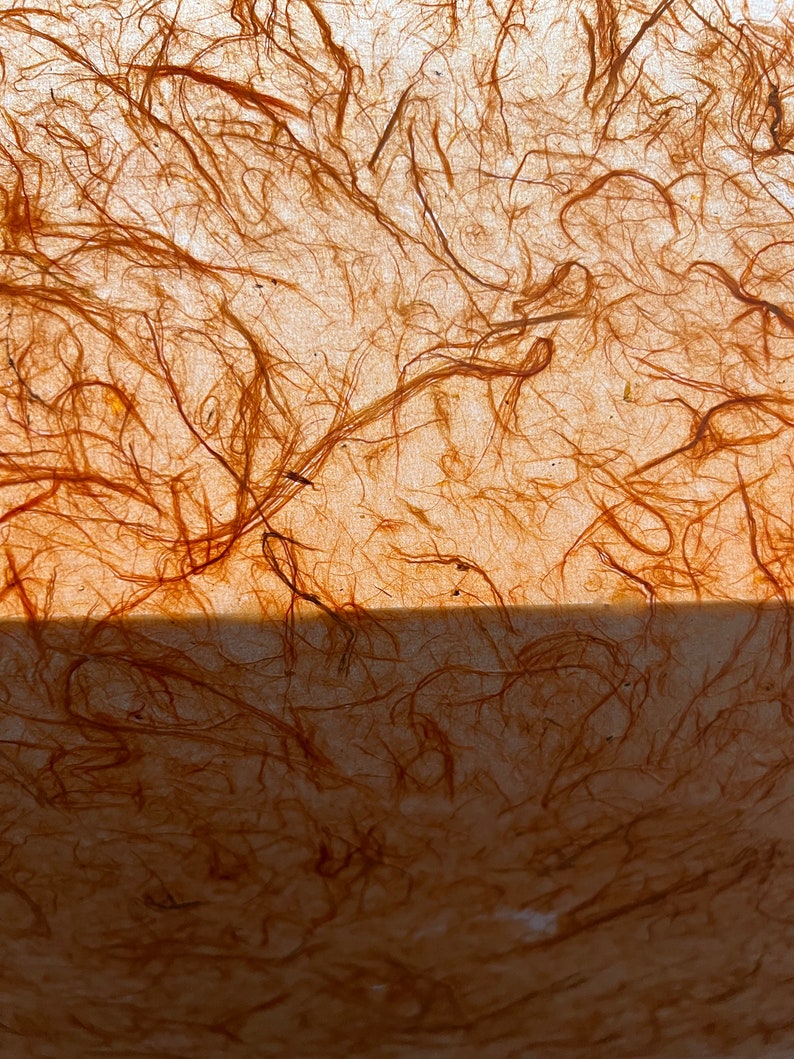 May include: A sheet of translucent, light-colored paper embedded with numerous thin, tangled, rust-colored organic fibers. The material has a textured, fibrous appearance with a horizontal line dividing the upper and lower sections of the sheet.