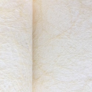 Op de afbeelding: Close-up van een vel wit, gestructureerd papier met een subtiel patroon van dunne, lichtbruine lijnen. Het papier heeft een licht gekreukelde uitstraling.