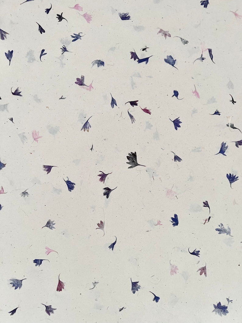 May include: White paper with a scattered pattern of small, pressed, dried flowers in shades of pink, purple, and blue.