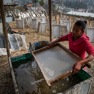 Puede incluir: Una persona con una camisa roja est&aacute; haciendo papel a mano. Est&aacute; sumergiendo un marco de madera en una tina de agua y luego lo levanta para dejar que el agua se escurra. El marco est&aacute; cubierto con una fina capa de pulpa, que eventualmente se secar&aacute; para formar papel. Hay muchos otros marcos sec&aacute;ndose en el fondo.