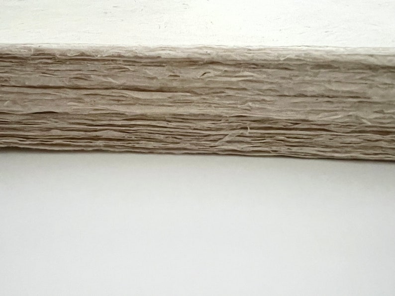 Decorative Paper, Handmade Lokta Paper, Light Natural Colors, eco-friendly, Tree free, acid free, 5 SHEETS IN ROLL image 4