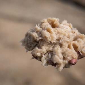 Puede incluir: Primer plano de una mano sosteniendo un gran trozo de material blanco y fibroso. El material es suave y esponjoso, y parece estar hecho de fibras naturales.