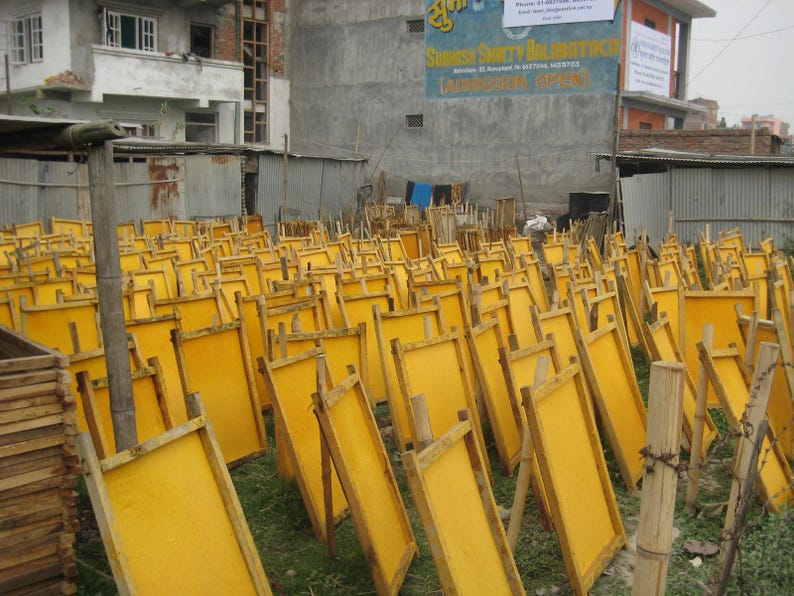 May include: A field of yellow paper drying on wooden frames. The frames are propped up on wooden supports, arranged in rows on the grass. Buildings and a sign are visible in the background.