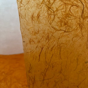 May include: A sheet of translucent, light brown handmade paper featuring a visible network of embedded organic fibers. The texture is uneven and fibrous, with a warm, amber-toned appearance that allows light to pass through the thin material.