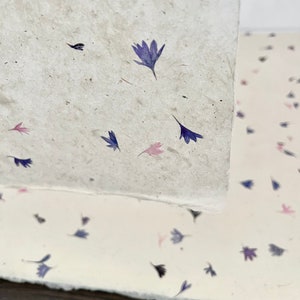 May include: Two sheets of paper with a scattered pattern of pressed purple and pink flowers. The top sheet is white and the bottom sheet is cream.