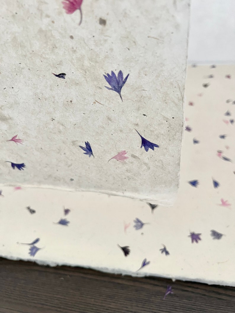 May include: Two sheets of paper with a scattered pattern of pressed purple and pink flowers. The top sheet is white and the bottom sheet is cream.