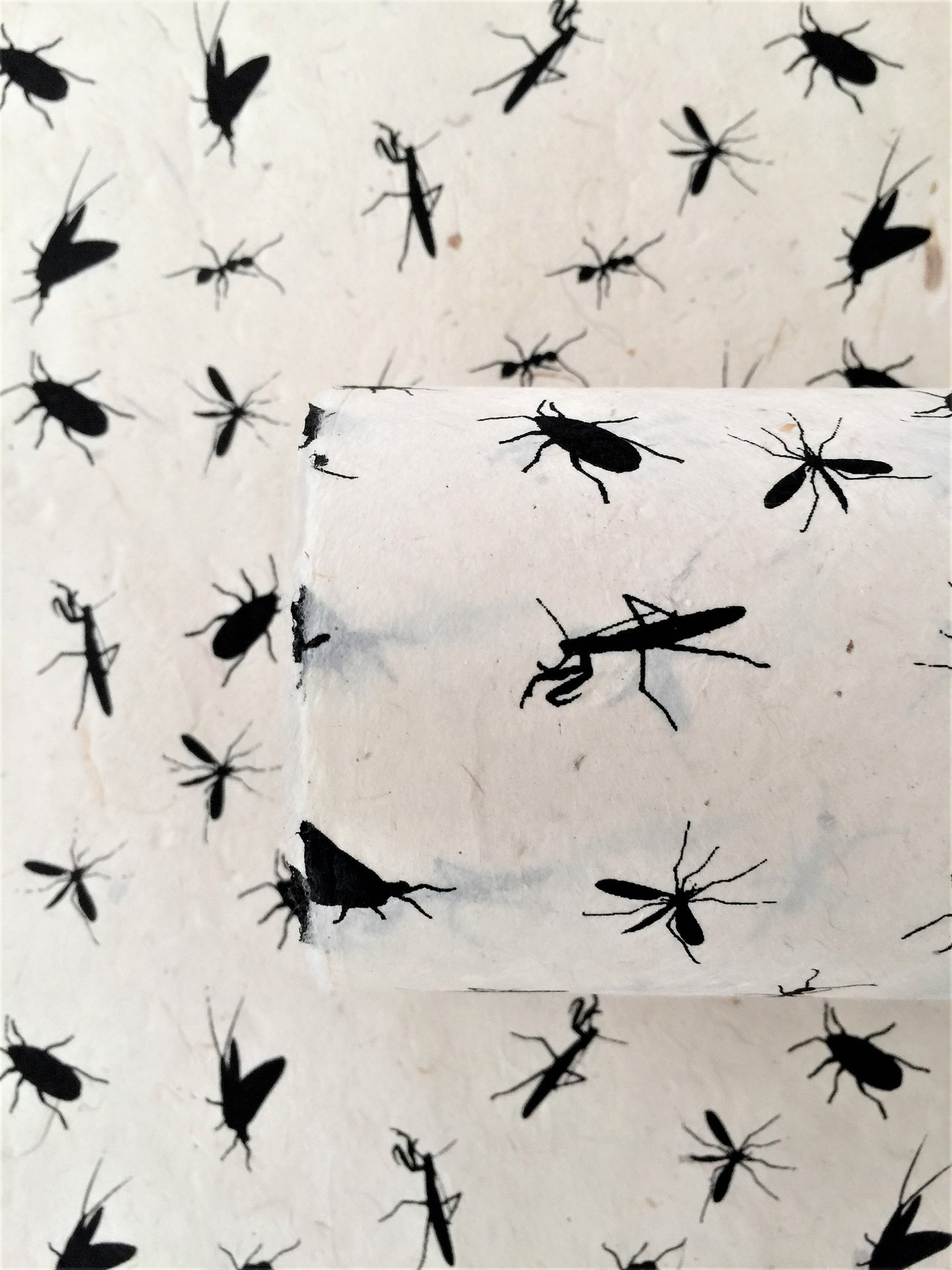 Insect Profile Paper Bugs Handmade Paper, Insects Designs, Lokta Papers, Paper Bag, Wedding ...