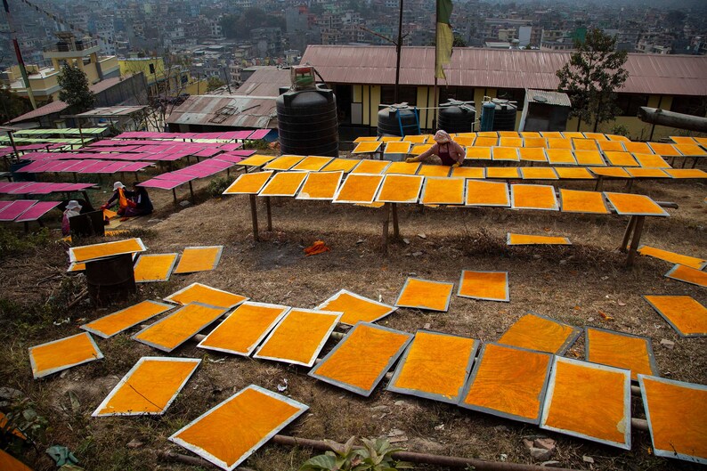 Puede incluir: Un grupo de personas trabajando en una ladera, secando hojas de papel naranja en marcos de madera. El papel est&aacute; dispuesto en filas en los marcos, y las personas trabajan para asegurar que el papel se seque uniformemente.